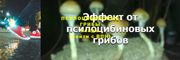 соль ск Балахна