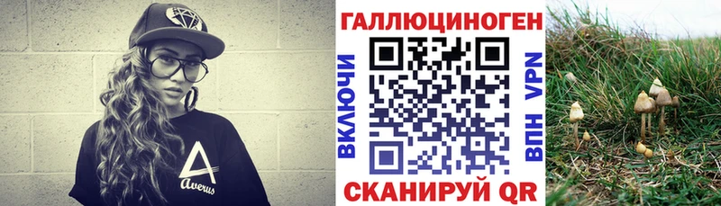 Псилоцибиновые грибы Psilocybine cubensis  закладки  Сухиничи 